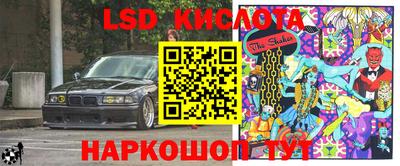 шишки Новозыбков