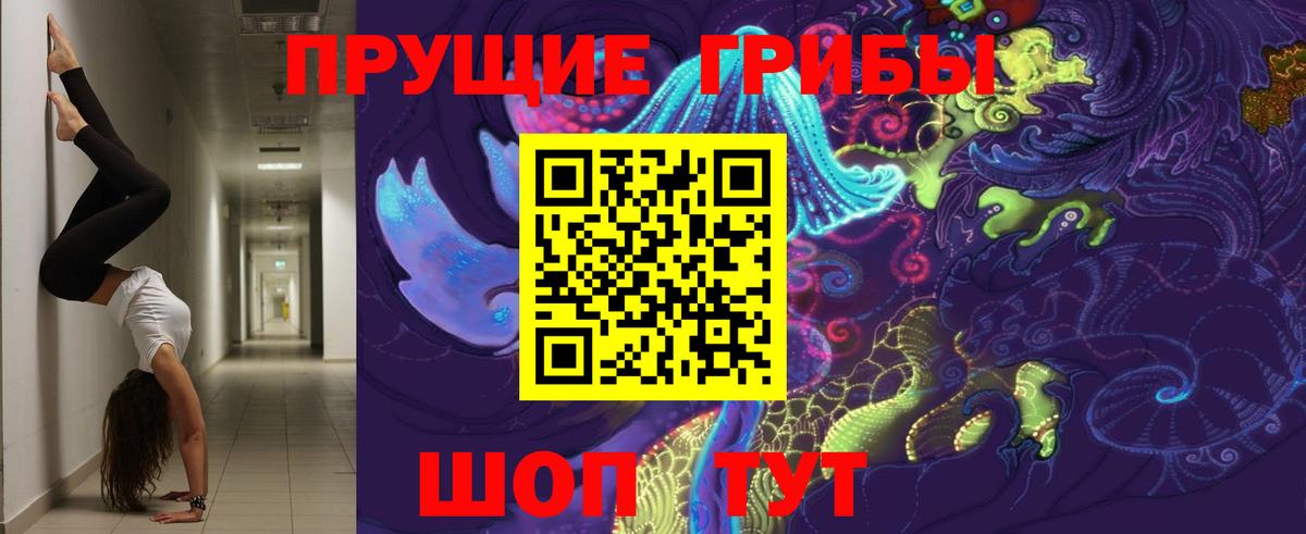 Рыбинск  Псилоцибиновые грибы Psilocybe  Вход с VPN 
